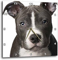 3dRose dpp_4240_2 American Pit Bull Terrier Puppy-Wall Clock, 13 by 13-Inch