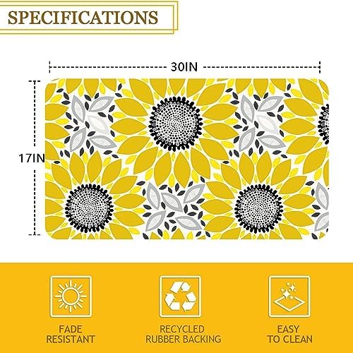 Mloabuc Kitchen Rugs and Mats,Washable Non-Slip Floor Mats Door Mat