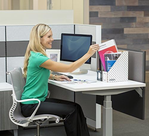 Bankers Box 12-Pack Magazine File Holders, 4" x 9 1/4" x 11 3/4" | Keep catalogs, folders, and projects upright, visible, and easy to grab with sturdy corrugated magazine files.