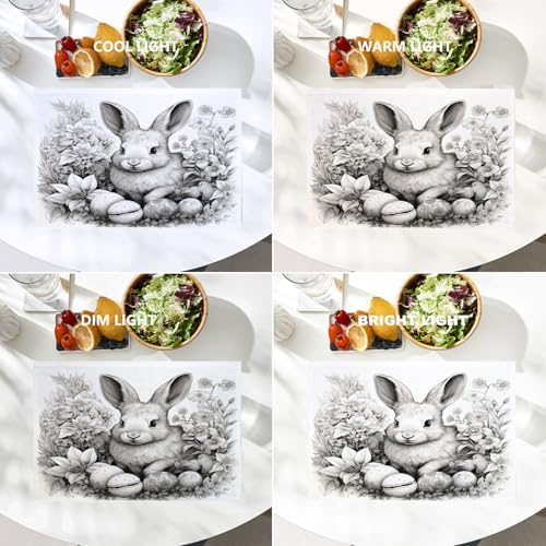 Batmerry Bunny with Eggs Flowers Linen Placemats Set of 4, A Bunny Surrounded By Eggs and Flowers Washable Table Mats for Kitchen Table Thickened Heat Insulation Dining Set Indoor Outdoor 12X18 in