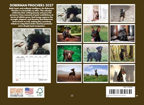 Doberman Calendar 2027 Monthly Wall Calender 12 Month