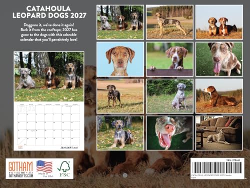 Catahoula Leopard Dog Calendar 2027 Monthly Wall Calender 12 Month