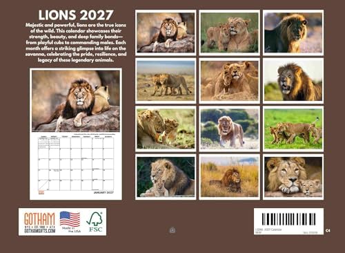 Lion Calendar 2027 Lions Monthly Wall Calender 12 Month