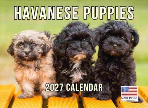 Havanese Puppy Calendar 2027 Monthly Wall Calender 12 Month