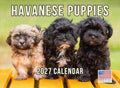 Havanese Puppy Calendar 2027 Monthly Wall Calender 12 Month