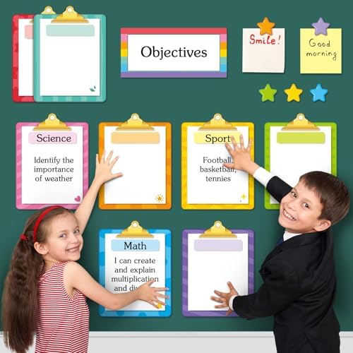 16 Pcs Magnetic Write Wipe Organization Chart, Colored Folders