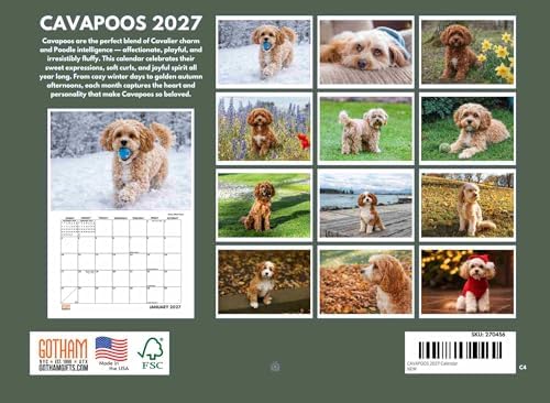 Cavapoo Calendar 2027 Monthly Wall Calender 12 Month