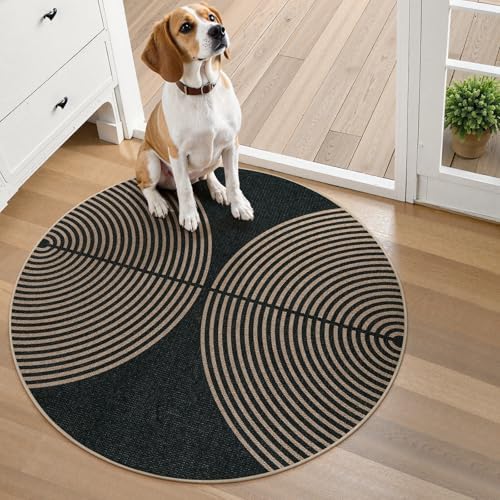 Lahome Rainbow Small Round Rug, 3ft Circular Indoor Outdoor Entryway Rug