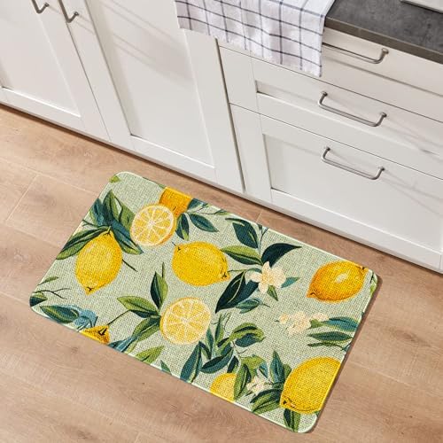 Kitchen Rugs and Mats,Washable Non-Slip Floor Mats Door Mat