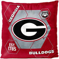 Northwest NCAA Unisex-Adult Velvet Pillow