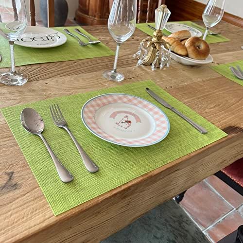 WAZAIGUR Placemats Crisscross Woven Vinyl Place Mats Set of 6 Green