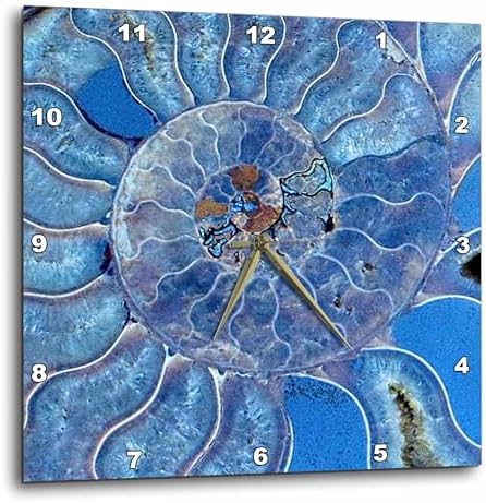 3dRose Wall Clock Silent - 10 inch - Blue Seashell-Mother-of-Pearl Closeup - Pattern