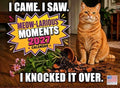 Funny Cat Calendar 2027 Cats Monthly Wall Calender 12 Month