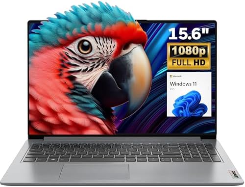 Lenovo IdeaPad 15.6" FHD Laptop for Business and Student, 36GB RAM, 1TB SSD, Intel Dual-core Processor, WiFi6, Bluetooth 5.2, Type-C, HDMI, Cloud Grey, Windows 11 Pro, Z&O Accessories