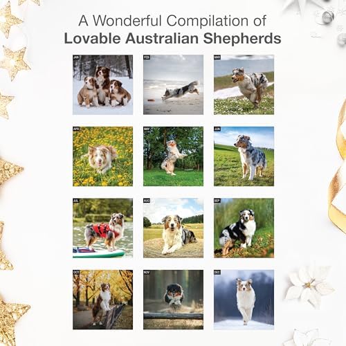 RED EMBER Australian Shepherds Aussies 2026 Wall Calendar 12 Month | 12" x 24" Open | Thick & Sturdy Paper | Giftable | Cute Puppy Dog Calendar 2026