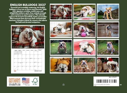 English Bulldog Calendar 2027 Bull Dog Monthly Wall Calender 12 Month