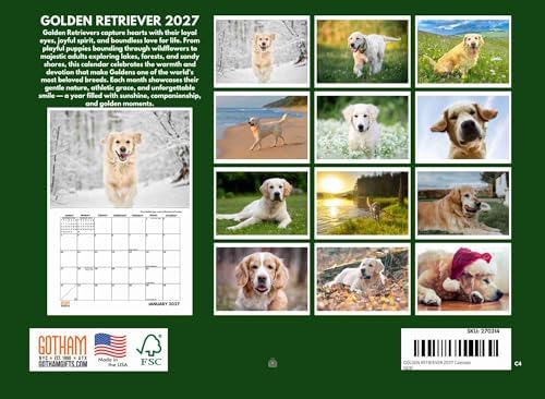 Golden Retriever Calendar 2027 Monthly Wall Calender 12 Month