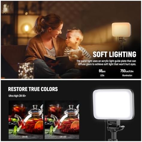 NEEWER Basics LED Video Light Panel Lighting Kit, Bi Color Dimmable Portable Studio Lights with Tripod Stand & Filters, 3200K~5600K CRI 95 750lux for Photography Video Recording Live Streaming, BP66