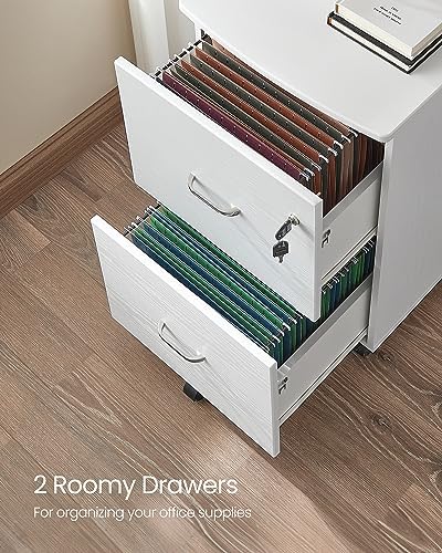 VASAGLE 2-Drawer File Cabinet, Small Rolling, Locking, Printer Stand