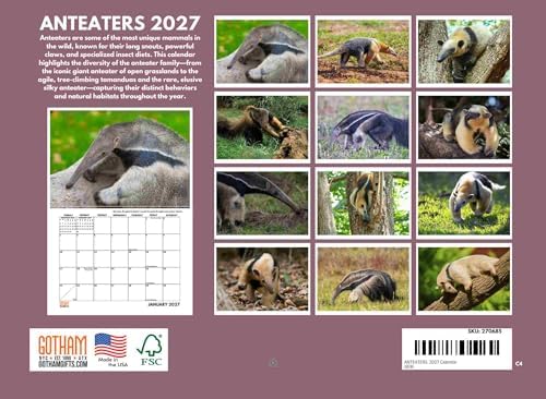 Anteater Calendar 2027 Antbear Monthly Wall Calender 12 Month