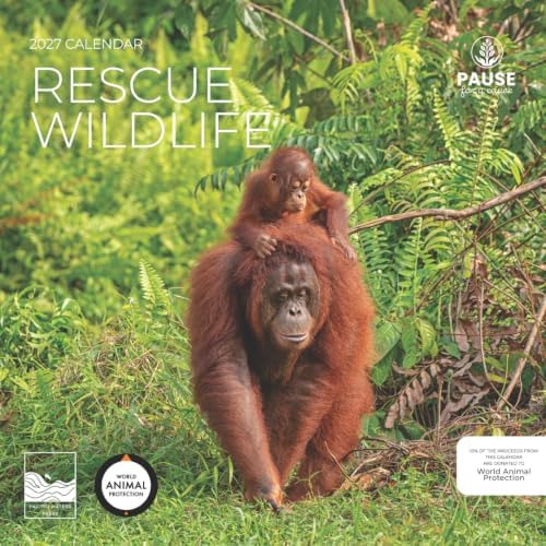 2027 Rescue Wildlife Wall Calendar, 12 x 24 Hanging Pacific Waters Press