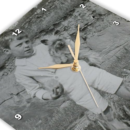 3dRose Wall Clock Silent - 15 inch - 1890 Young Boy with Cairn Terrier Puppy Vintage - Magic Lantern Slides