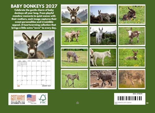 Baby Donkey Calendar 2027 Cute Adorable Monthly Wall 12 Month | American Made In The USA