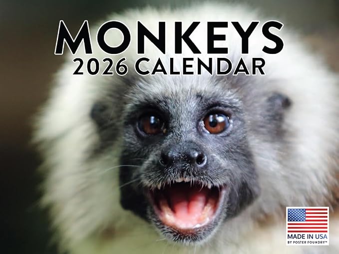 Monkey Calendar 2026 Monthly Wall Calender 12 Month | American Made In The USA