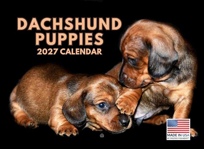 Dachshund Puppy Calendar 2027 Monthly Wall Calender 12 Month