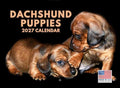 Dachshund Puppy Calendar 2027 Monthly Wall Calender 12 Month