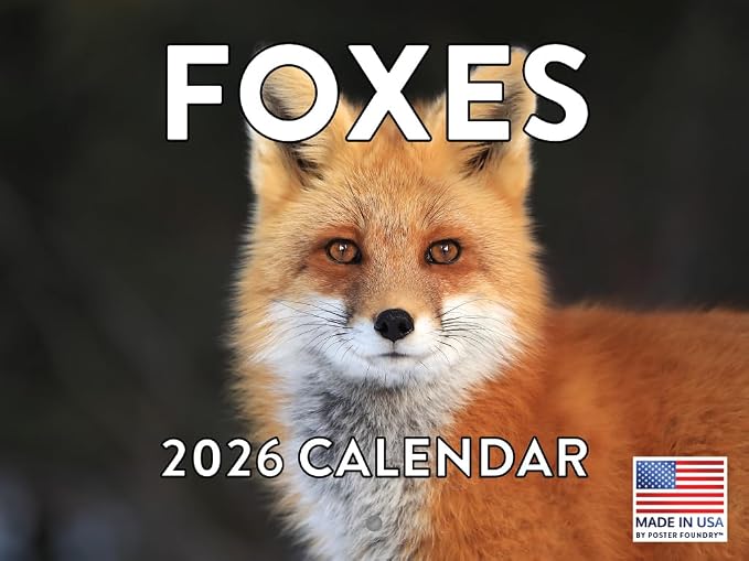 Fox Calendar 2026 Foxes Monthly Wall Calender 12 Month | American Made In The USA