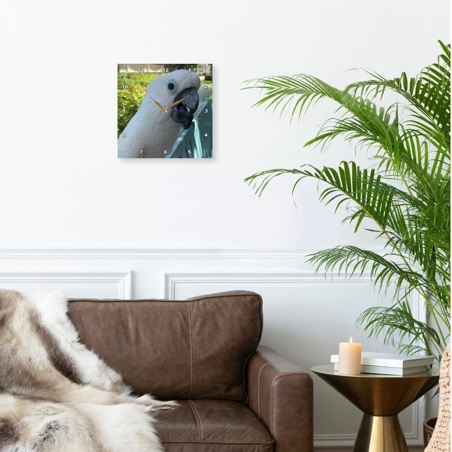3dRose Wall Clock Silent - 13 inch - White Cockatoo - Animals