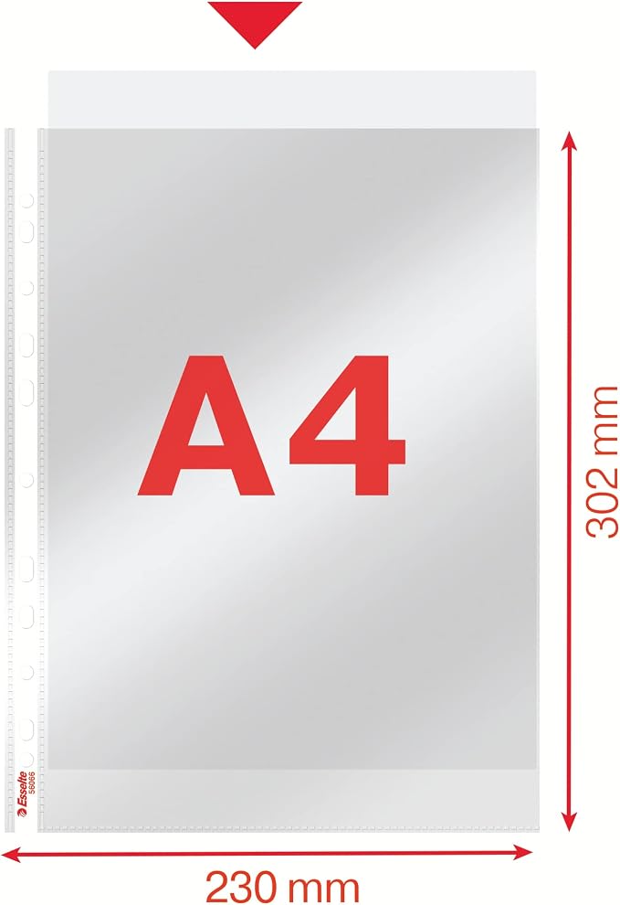 Esselte Leitz Standard A4 PP Document Wallet 100 Stück Clear
