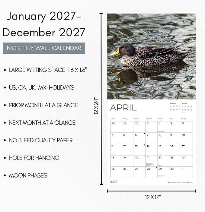 Ducks 2027 Wall Calendar, 12 x 24 Hanging Pacific Waters Press