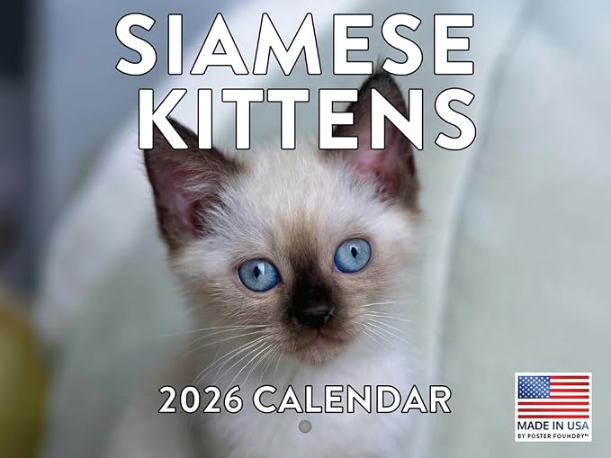 Siamese Kitten Calendar 2026 Cat Monthly Wall Calender 12 Month | American Made In The USA