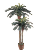 Nearly Natural 6 ft Artificial Sago Palm Double Tree Basket Floor Plant | Two Realistic Trunks, Eighty Lifelike Palm Leaves, Ten-Inch Wicker Basket Included, Premium Indoor Home Decor Accent
