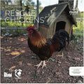 Rescue Chickens 2027 Wall Calendar, 12 x 24 Hanging Pacific Waters Press