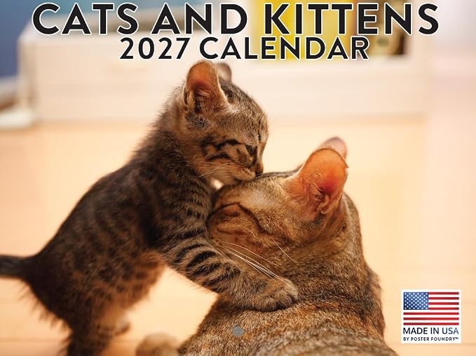 Cats And Kittens Calendar 2027 Monthly Wall Calender 12 Month