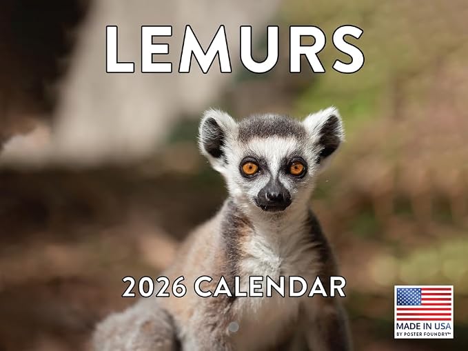 Lemur Calendar 2026 Monthly Wall Calender 12 Month | American Made In The USA