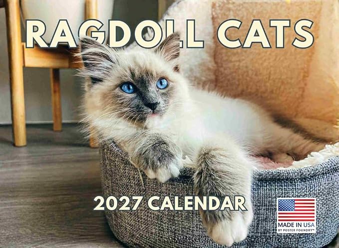 Ragdoll Cat Calendar 2027 Monthly Wall Calender 12 Month