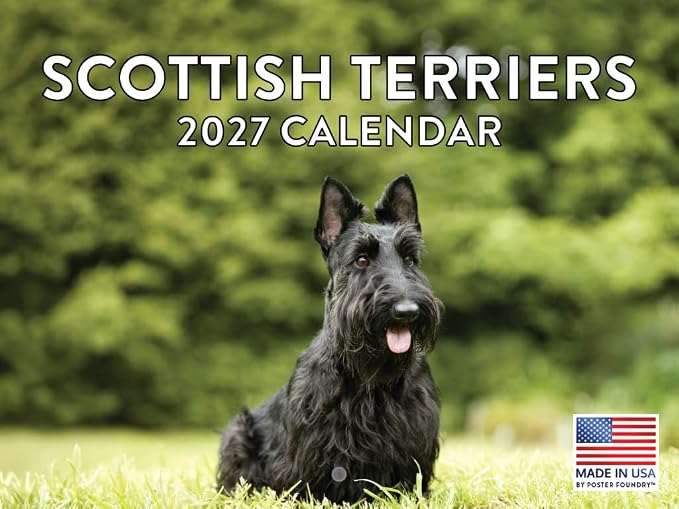 Scottish Terrier Calendar 2027 Scottie Monthly Wall Calender 12 Month