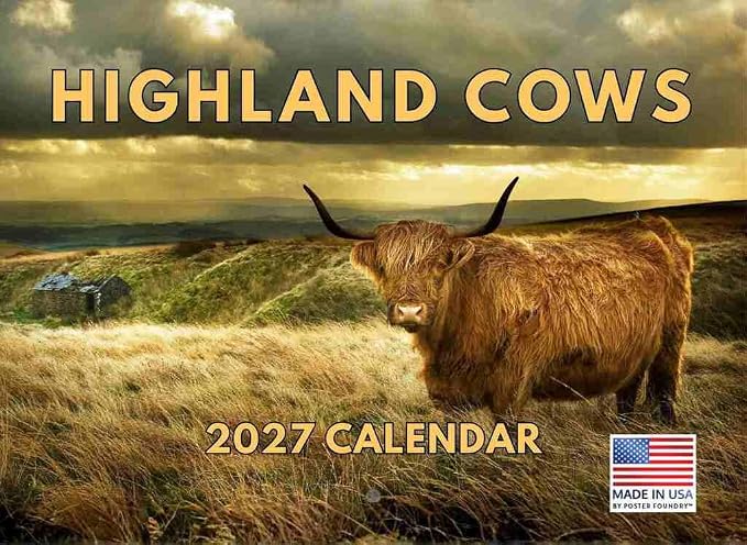 Highland Cow Calendar 2027 Scottish Gifts Hyland Hairy Coo Monthly Wall Calender 12 Month | American Made In The USA