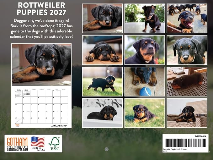 Rottweiler Puppy Calendar 2027 Monthly Wall Calender 12 Month