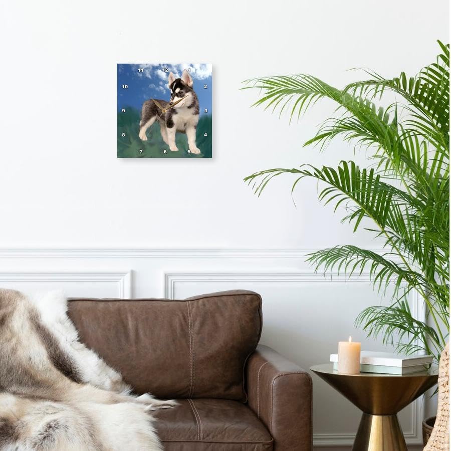 3dRose Wall Clock Silent - 10 inch - Siberian Husky Puppy - Dogs Siberian Husky