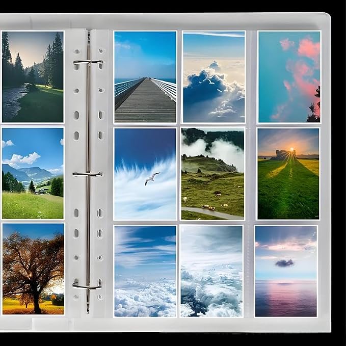 100 Pack 11-Hole Sheet Protectors, Top-Loading Clear Sleeves, Heavy Duty, Waterproof/Dustproof, High Transparency, Fits 3-Ring Binders, Thick & Durable for Photos/Documents