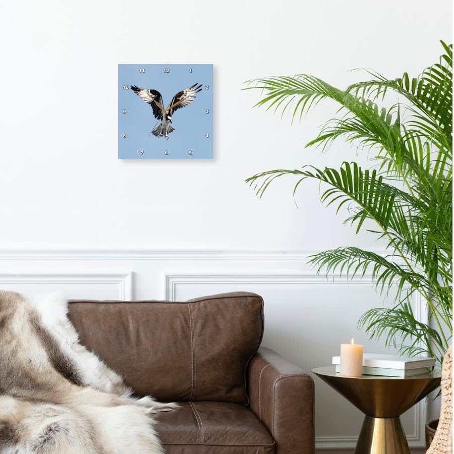 3dRose Wall Clock Silent - 10 inch - Image of Beautiful Osprey in Flight - Lens Art by Florene - Birds II