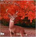 Bucks 2027 Wall Calendar, 12 x 24 Hanging Pacific Waters Press