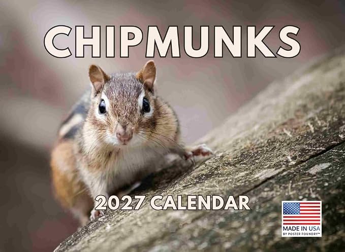Chipmunk Calendar 2027 Monthly Wall Calender 12 Month