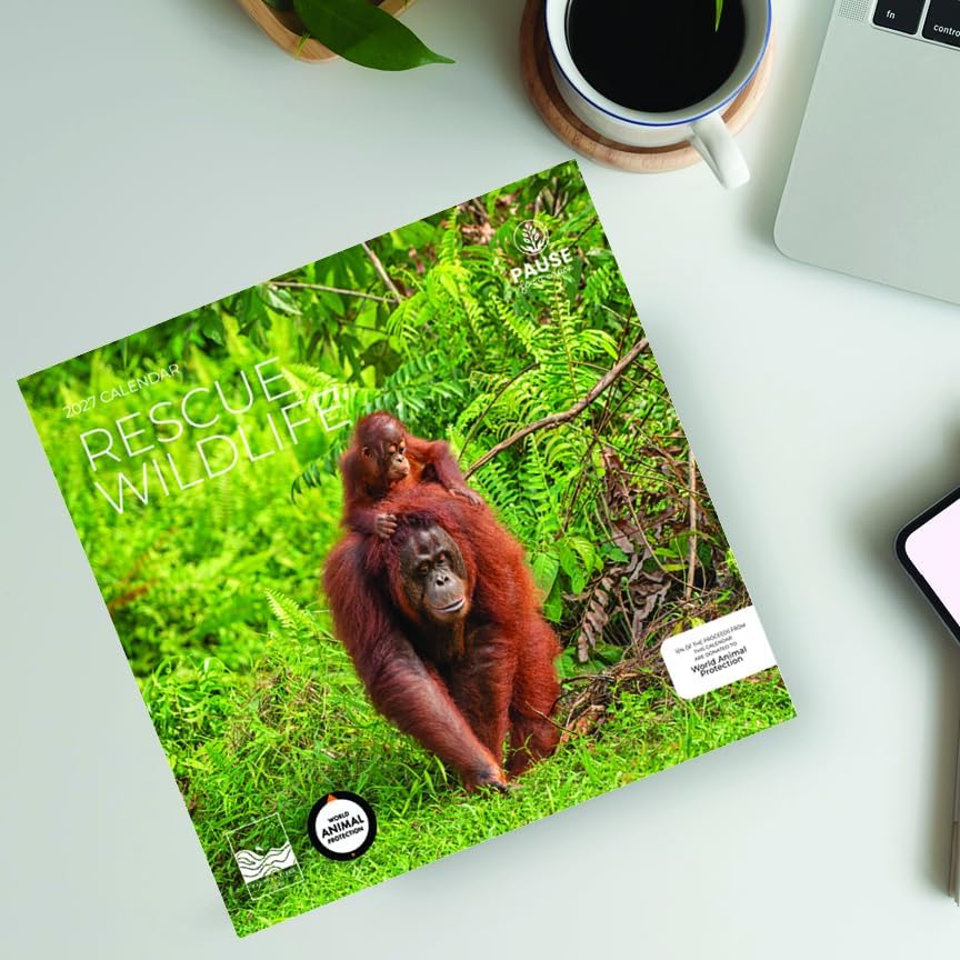 2027 Rescue Wildlife Wall Calendar, 12 x 24 Hanging Pacific Waters Press