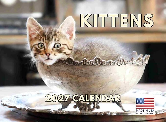 Kitten Calendar 2027 Cat Kitty Gifts Monthly Wall Calender 12 Month